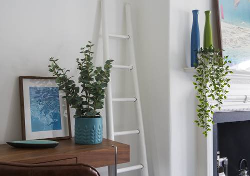 JANE NELSON CRN 13957x