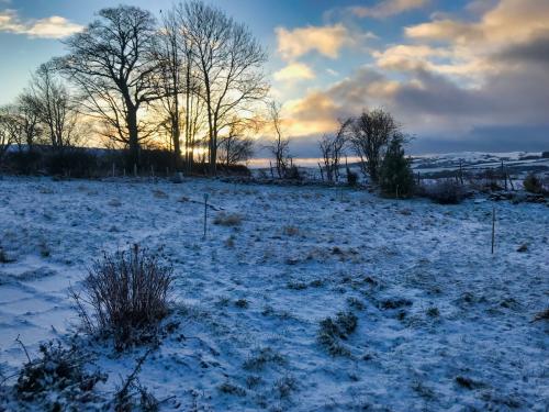 oatlands park before